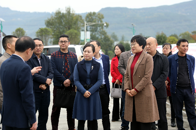 202011041732499517.png 202011041732499517.png